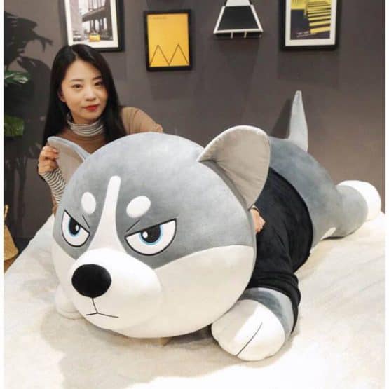 thu bong cho husky gia re